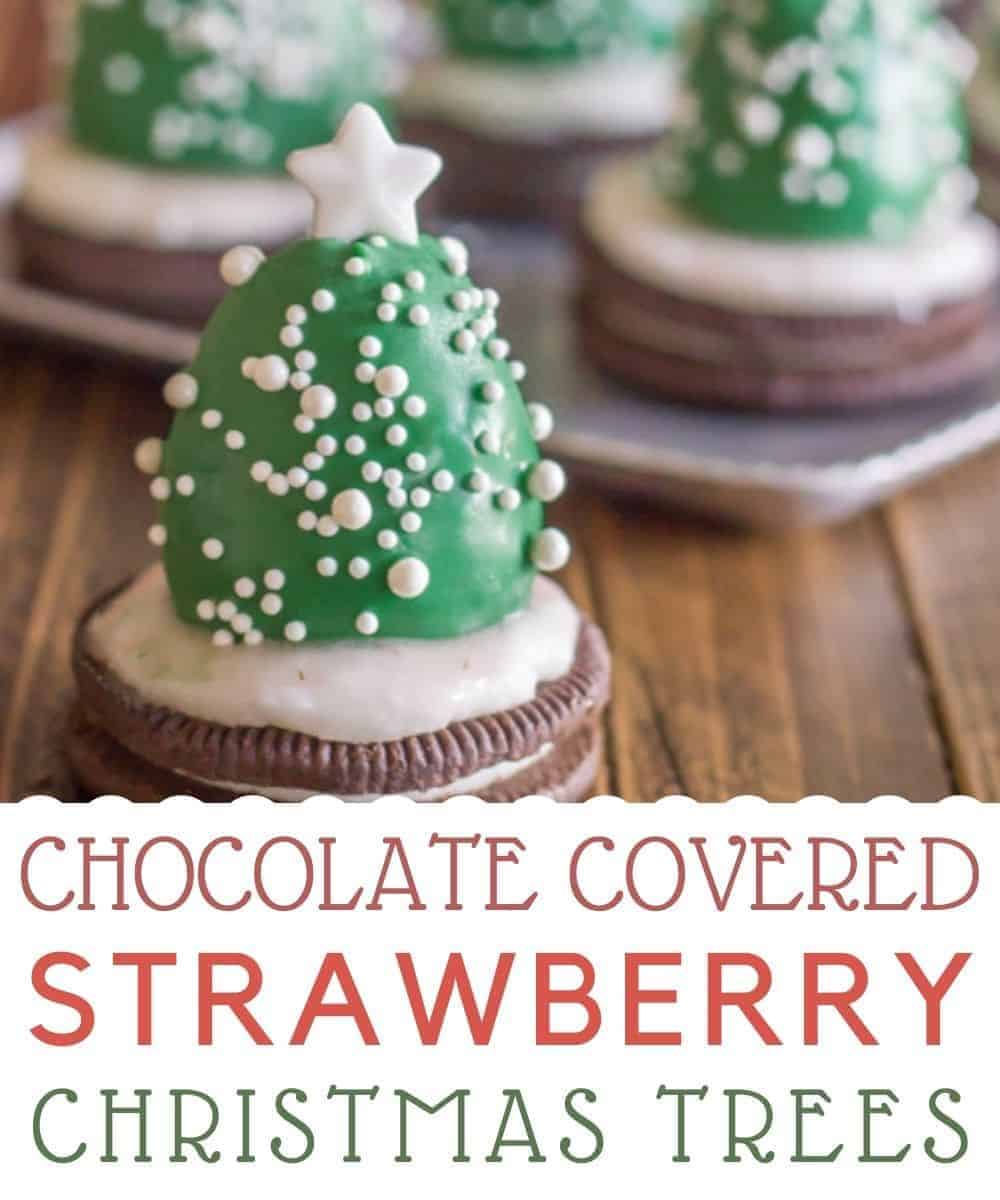 strawberry christmas trees (1)