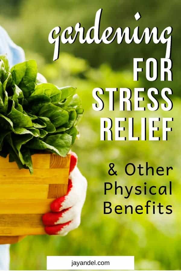 Find out why you should try gardening for stress relief! Besides the obvious benefits of mental restoration, gardening that can also bring restored health and vigor to your body.