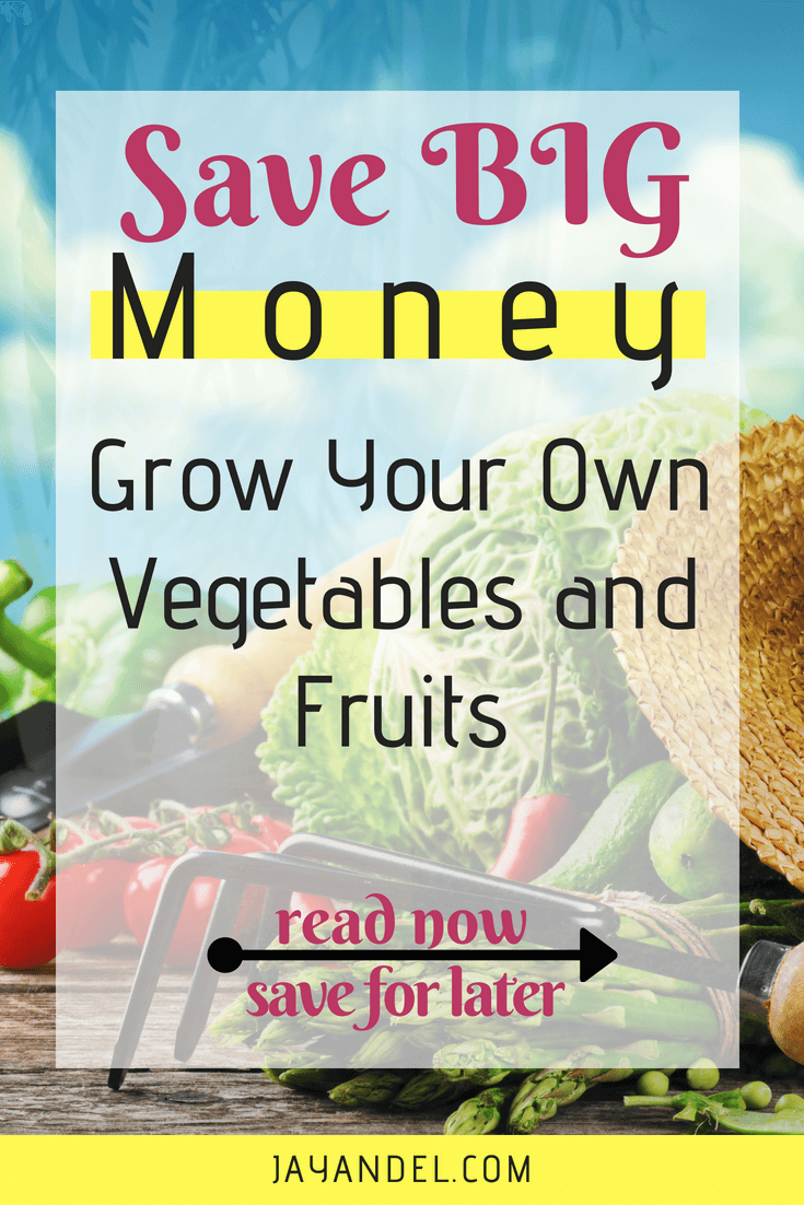 How much money could you save by growing your own fruit & vegetables to feed your family? Growing your own food can be a tasty way to cut costs on your monthly grocery bill.