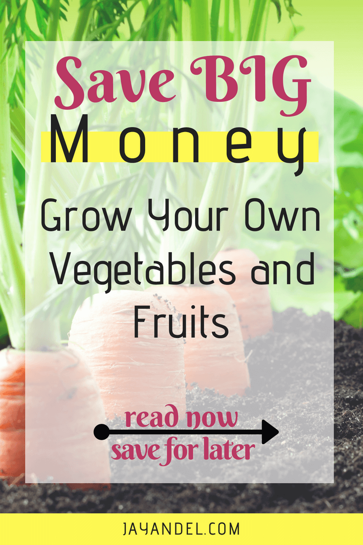 How much money could you save by growing your own fruit & vegetables to feed your family? Growing your own food can be a tasty way to cut costs on your monthly grocery bill.