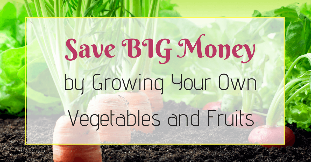 Save BIG Money by Growing Your Own Vegetables and Fruits