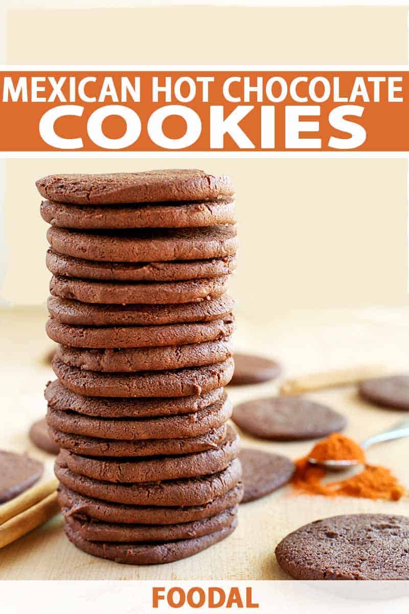Mexican-Hot-Chocolate-Cookie