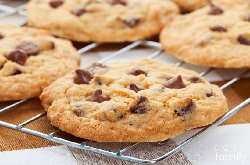 25+ Delicious Chocolate Chip Cookies
