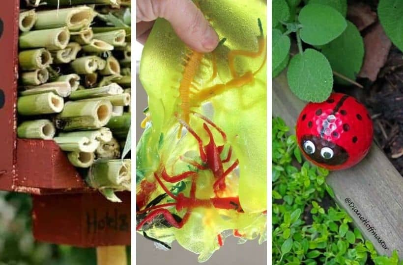 40 Ridiculously Fun Bug Crafts for Kids