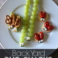 Image for Back Yard Bug Snacks by The Crafting Chicks