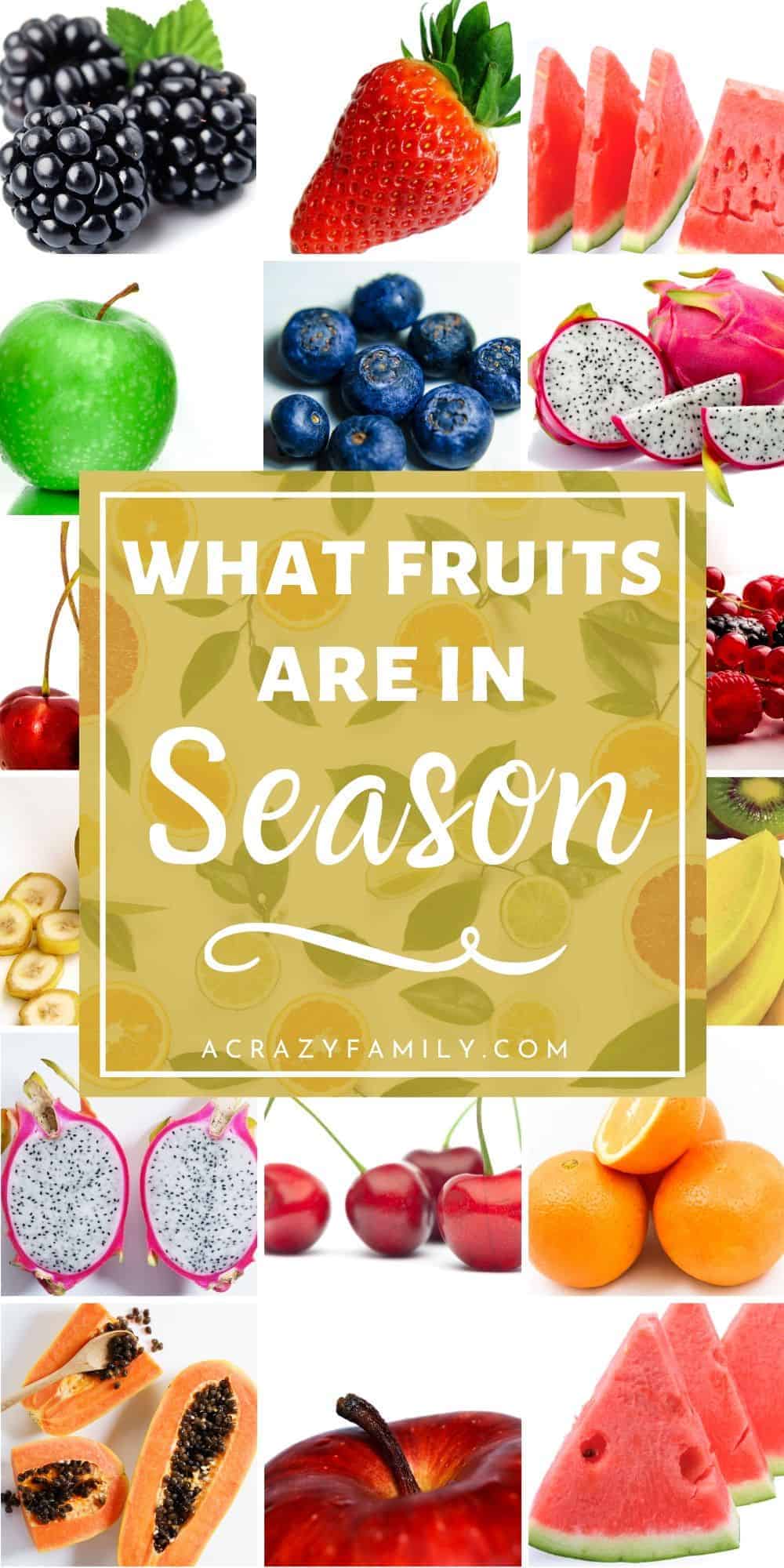 what-fruits-are-in-season-a-crazy-family