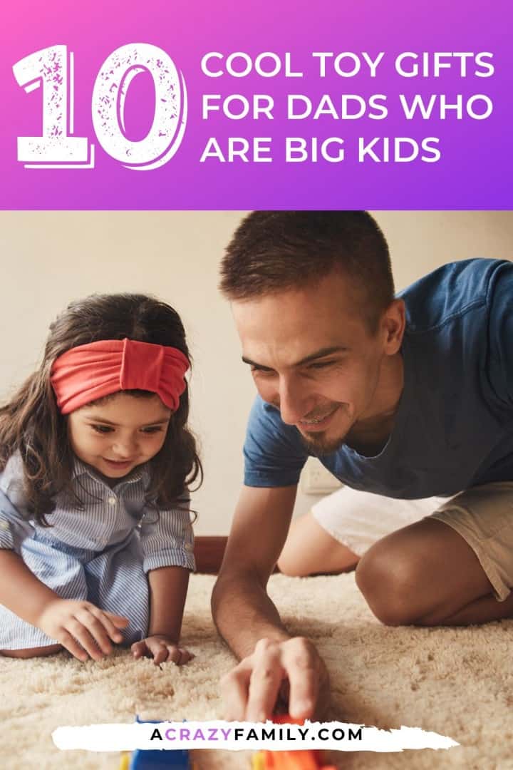 10 Cool Toy Gifts for Dads Who Are Big Kids - Perfect Gifts To ...