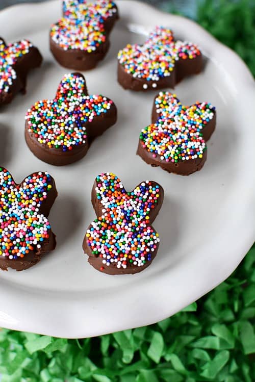 Easy No-Bake Chocolate Bunny Treats