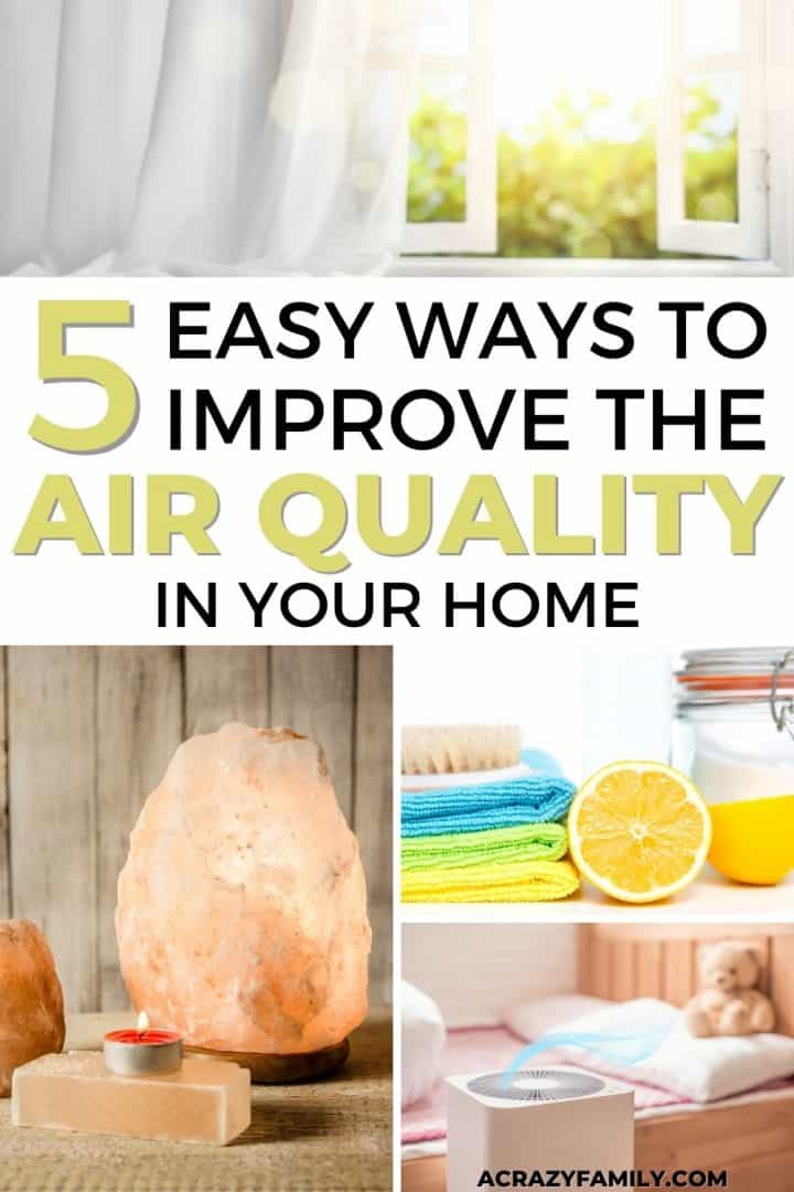 5 Incredibly Easy Ways to Improve the Air Quality in Your Home A