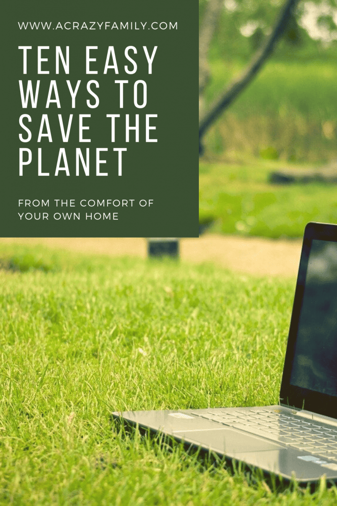 Pinterest image for 10 Easy Ways To Save The Environment At Home