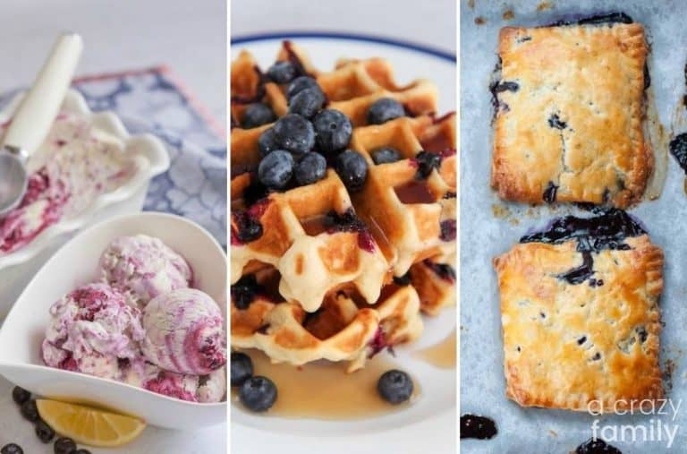 60+ Must-Try Easy Blueberry Recipes