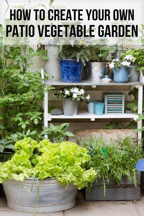 How to Create a Patio Vegetable Garden A Crazy Family