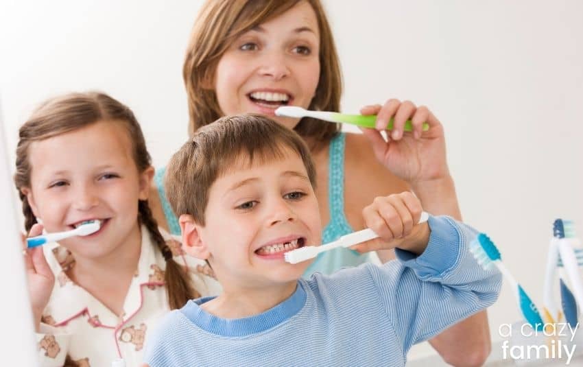 Encouraging Good Dental Health In Your Family