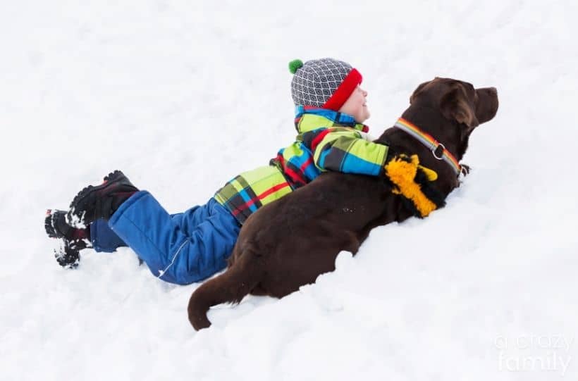 boy with dog