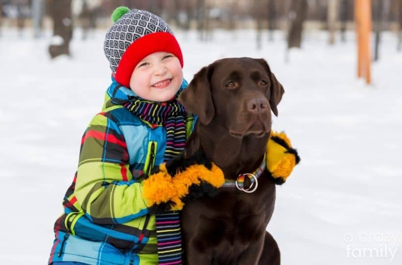 How to Teach Kids About Dog Etiquette