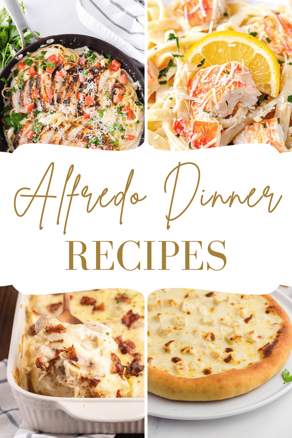 alfredo dinne recipes 2