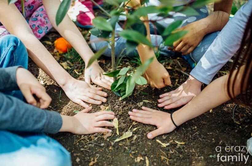 children planting a tree