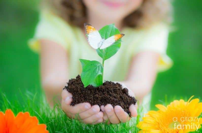 girl holding plant with butterfly