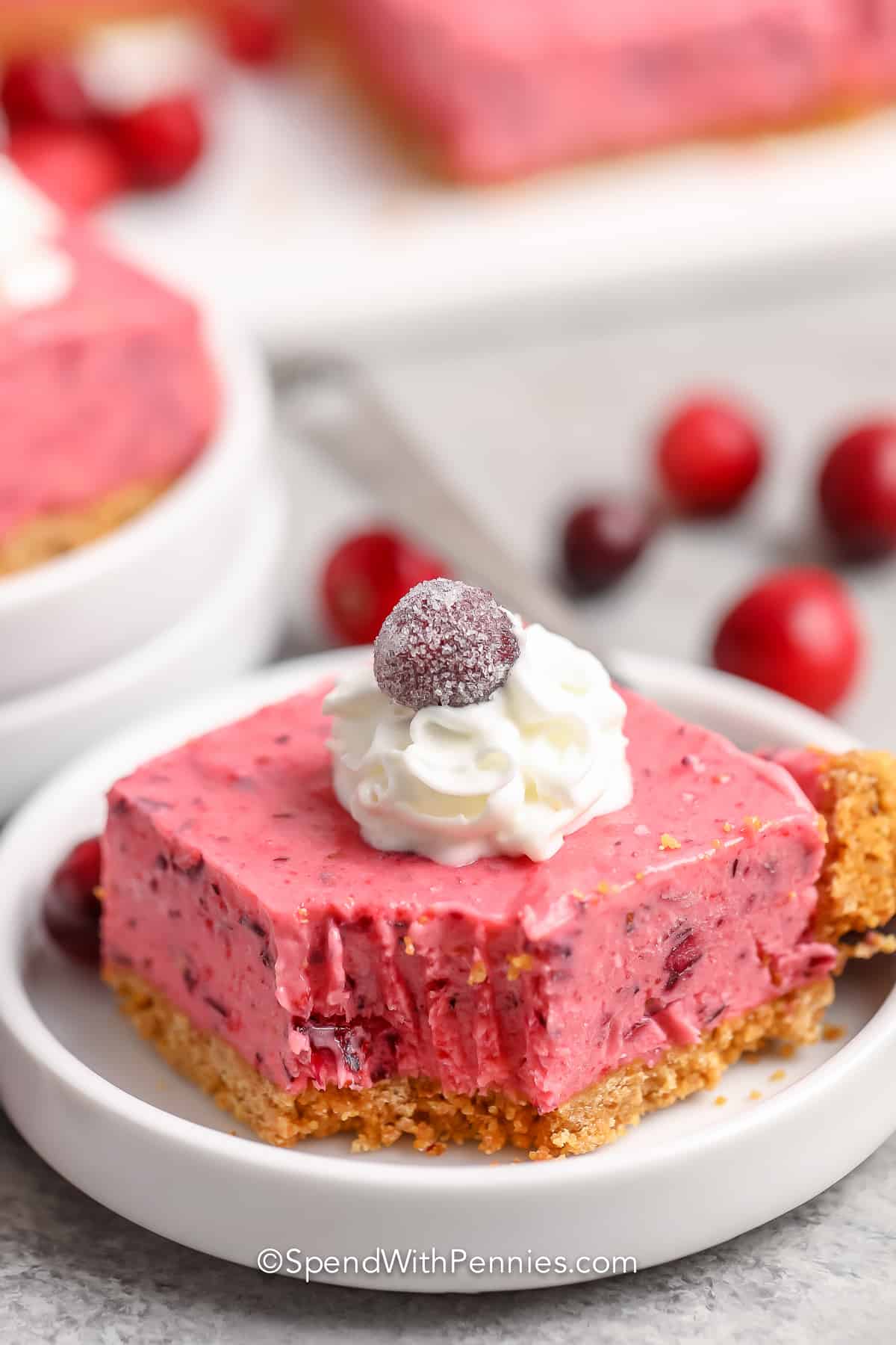 SWP Frozen Cranberry Bars 11