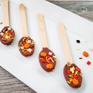 pumpkin chocolate spoons