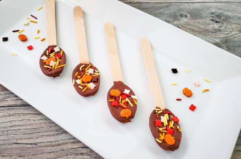 pumpkin chocolate spoons