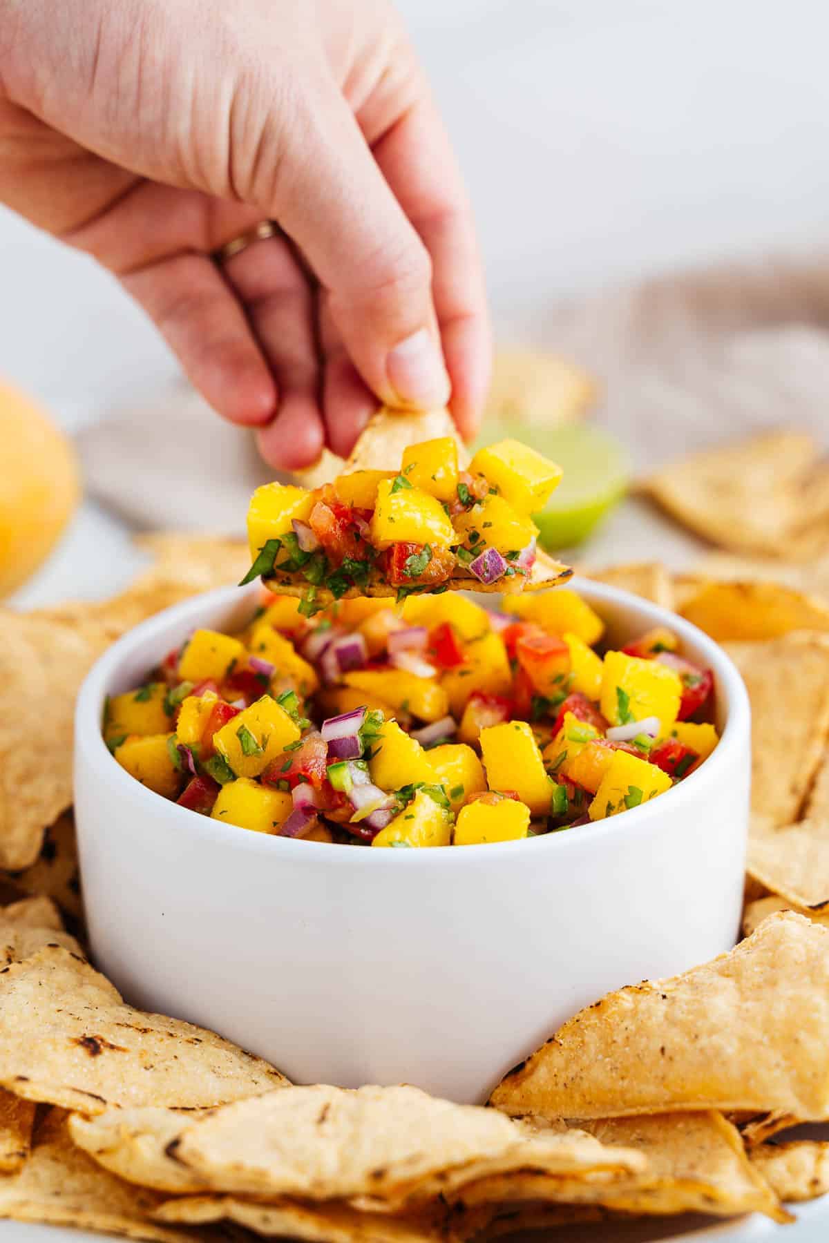 Mango Salsa 11