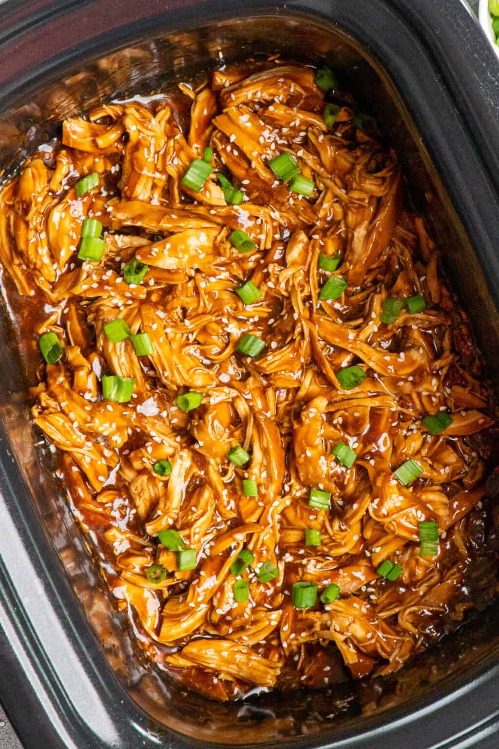 Slow Cooker Teriyaki Chicken