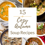 autumn soup recipes (1)