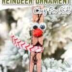 clothespin reindeer ornament pin 1