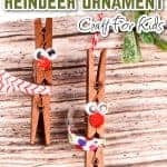 clothespin reindeer ornament pin