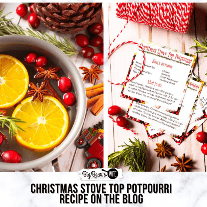 CHRISTMAS STOVE TOP POTPOURRI 6.png