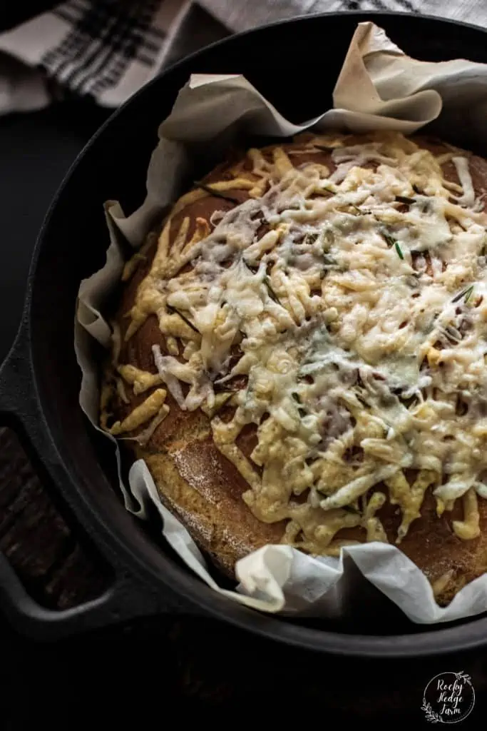 Dutch Oven Rosemary Parmesan Bread 1 683×1024 1