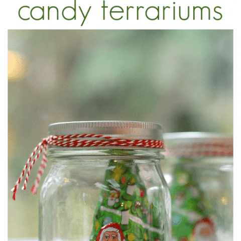 candy terrarium DIY Christmas gift .png