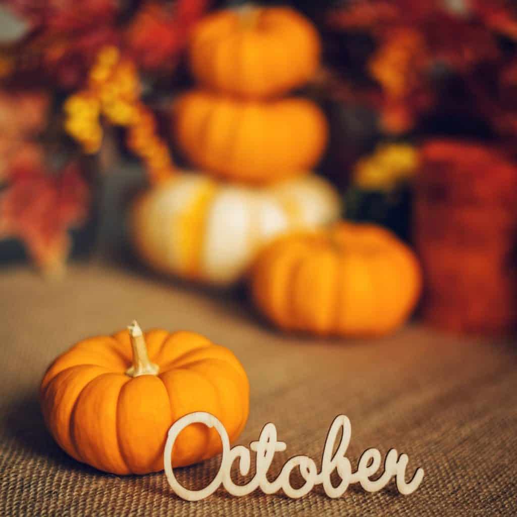 Fun Holidays in October To Celebrate Holidays and Observances A