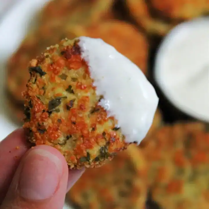 Air Fryer Fried Pickles 2