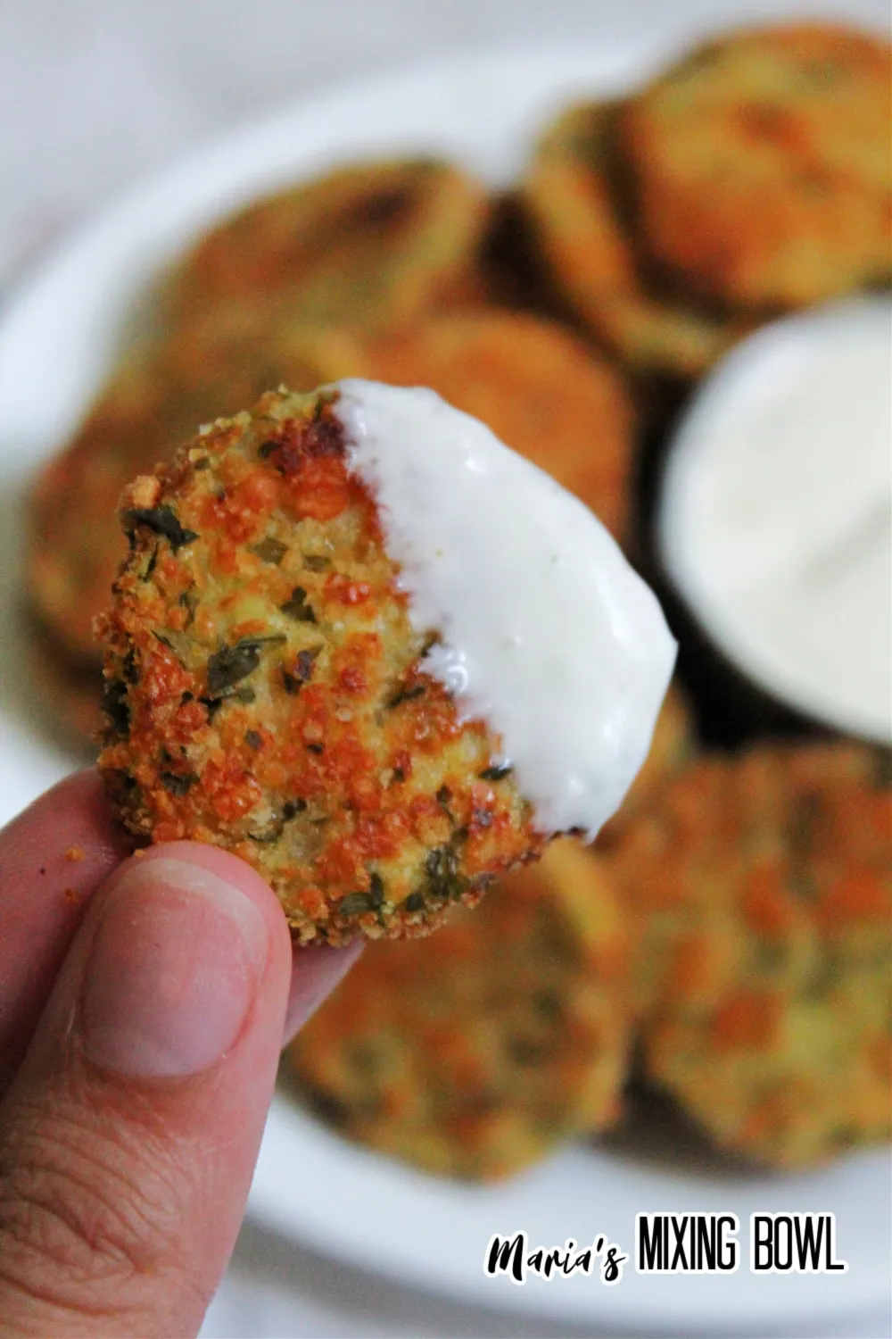 Air Fryer Fried Pickles 2