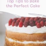 Bake the Perfect Cake 2