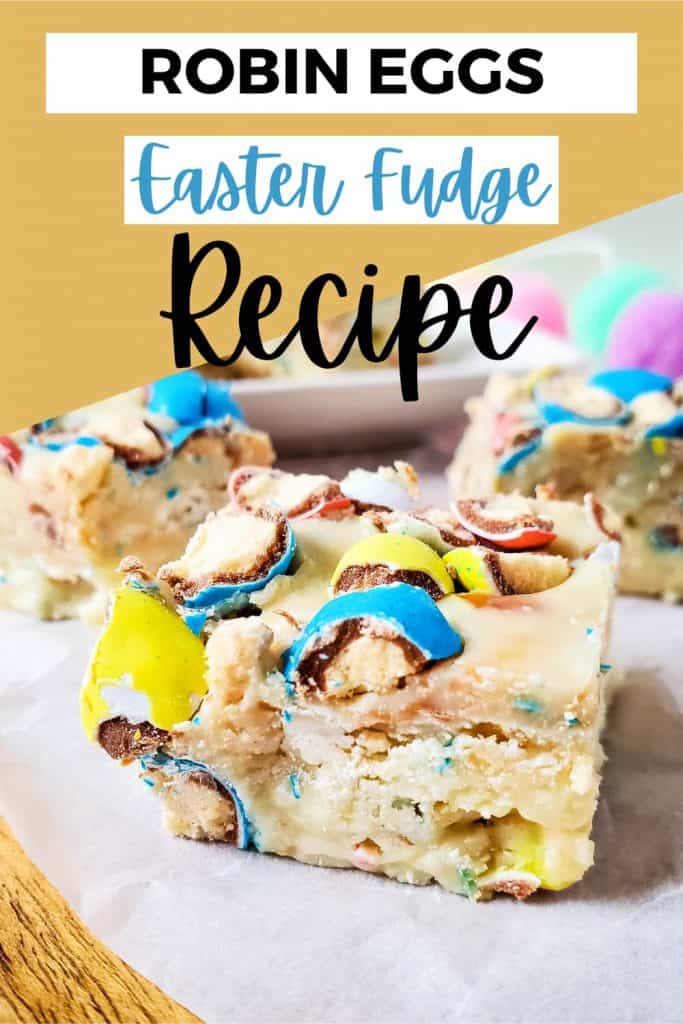 easter fudge robin egg (2)