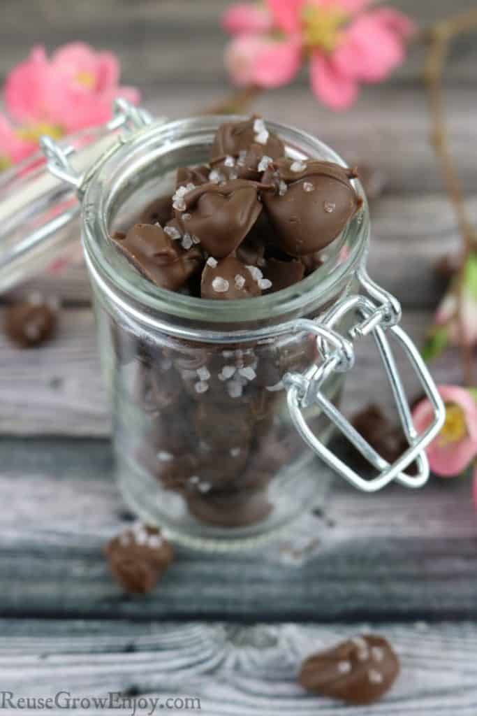 Chocolate Covered Coffee Beans