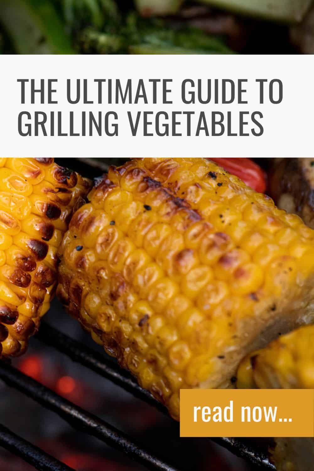 grilling vegetables pin