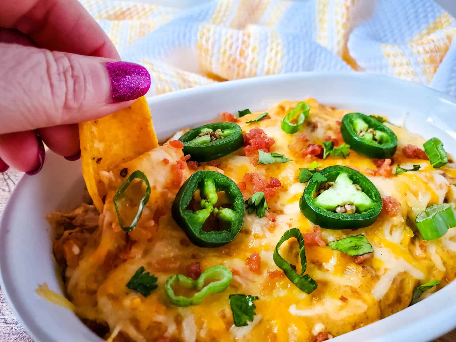 Cheesy Bacon and Bean Dip A Crazy Family