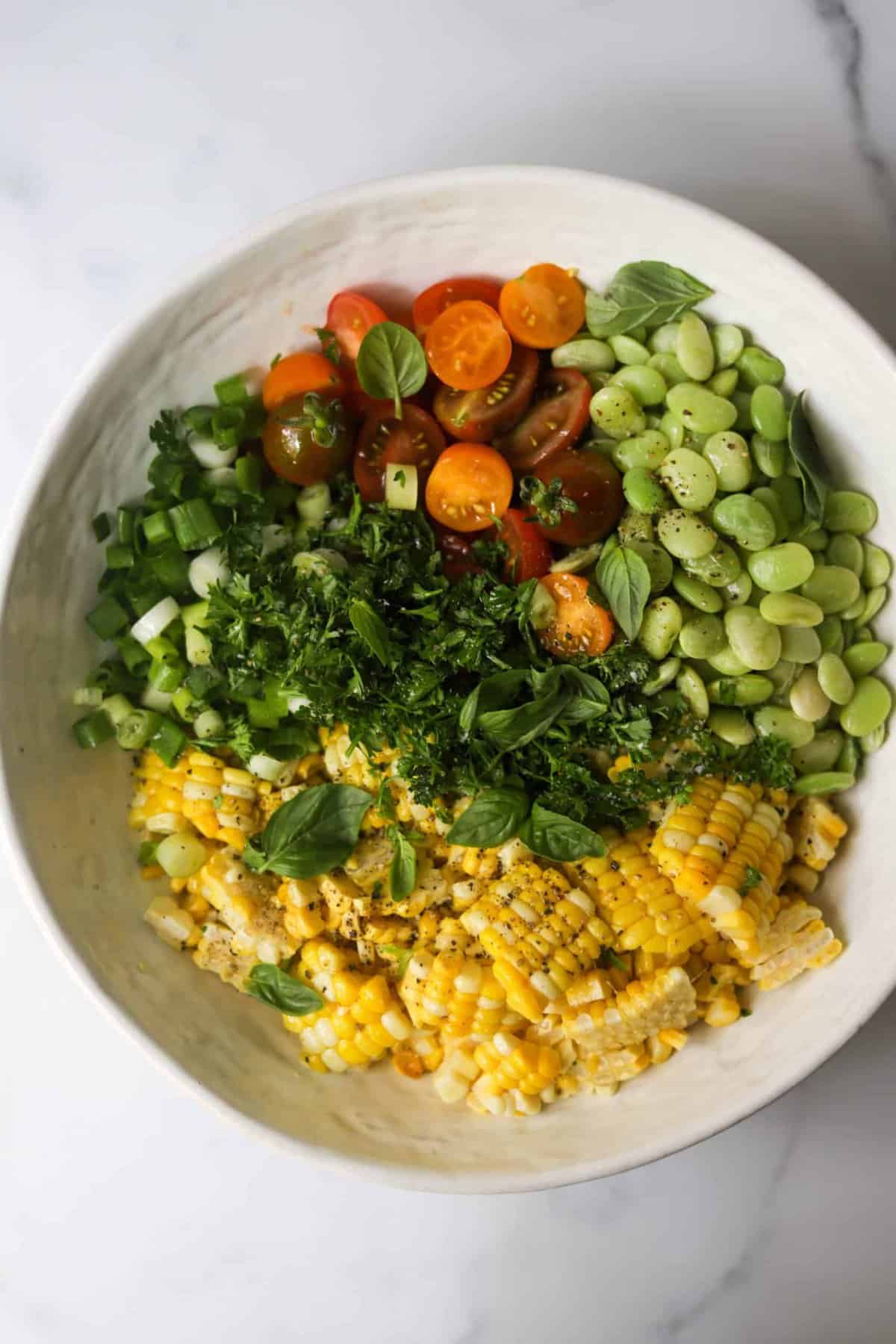 Summer Succotash 1 scaled 1