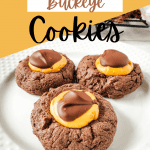 chocolate peanut butter cookies pin (1)