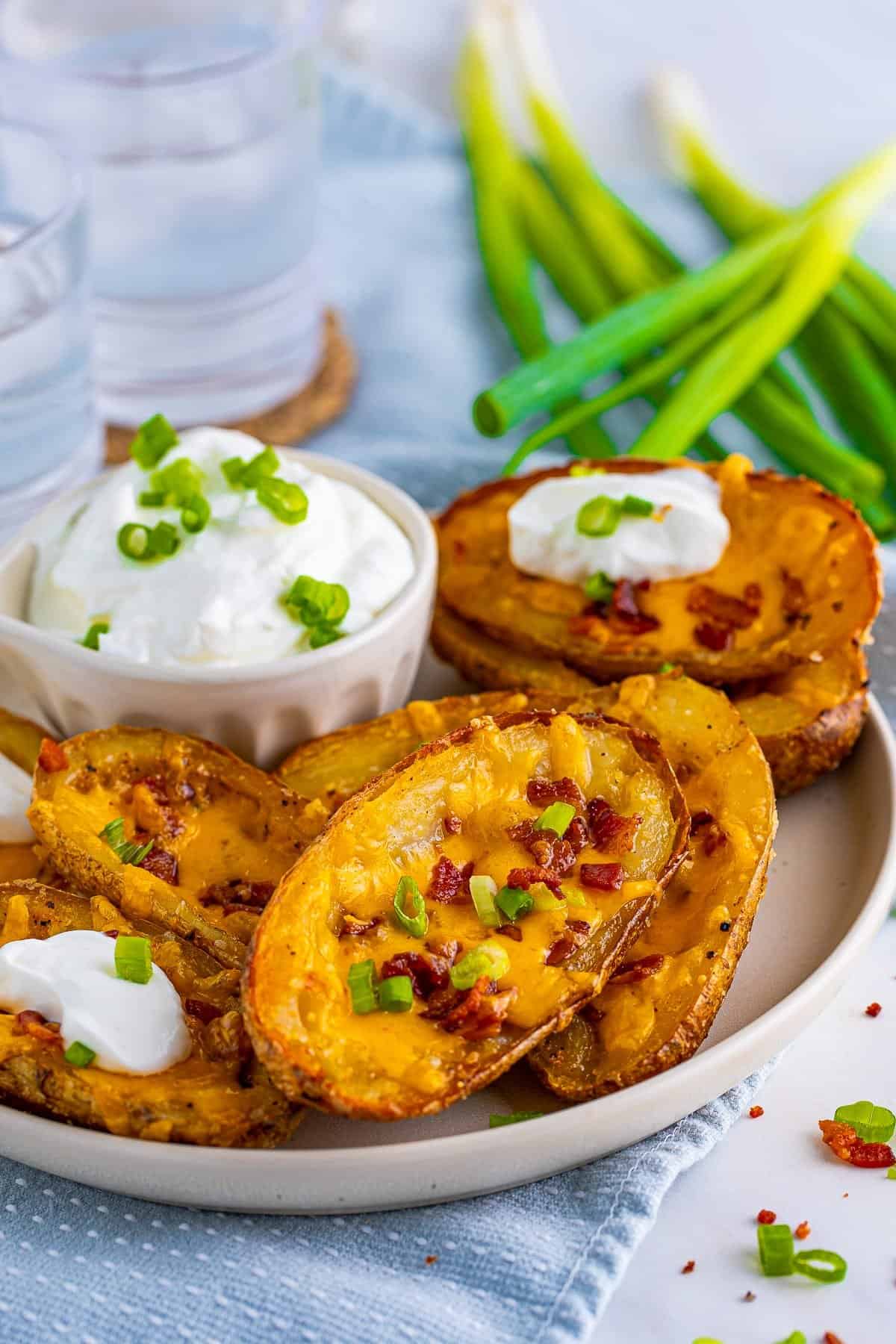 loaded potato skins 15