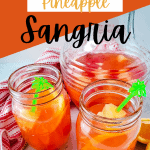 spiced rum pineapple sangria pin (1)