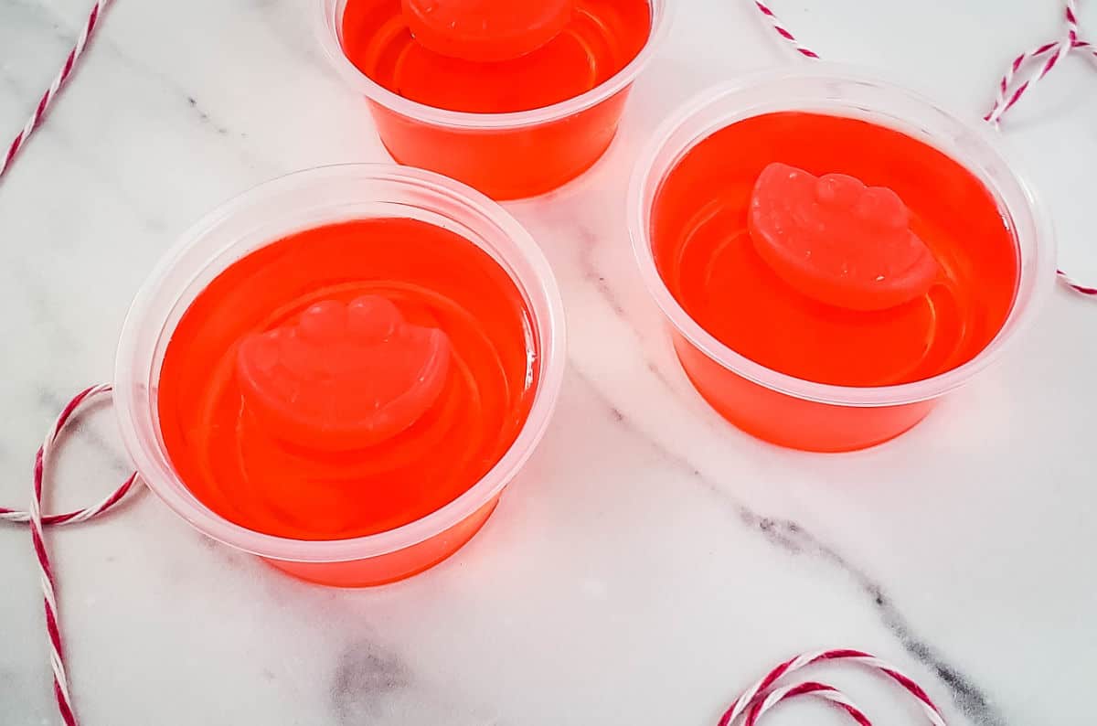 watermelon jello1
