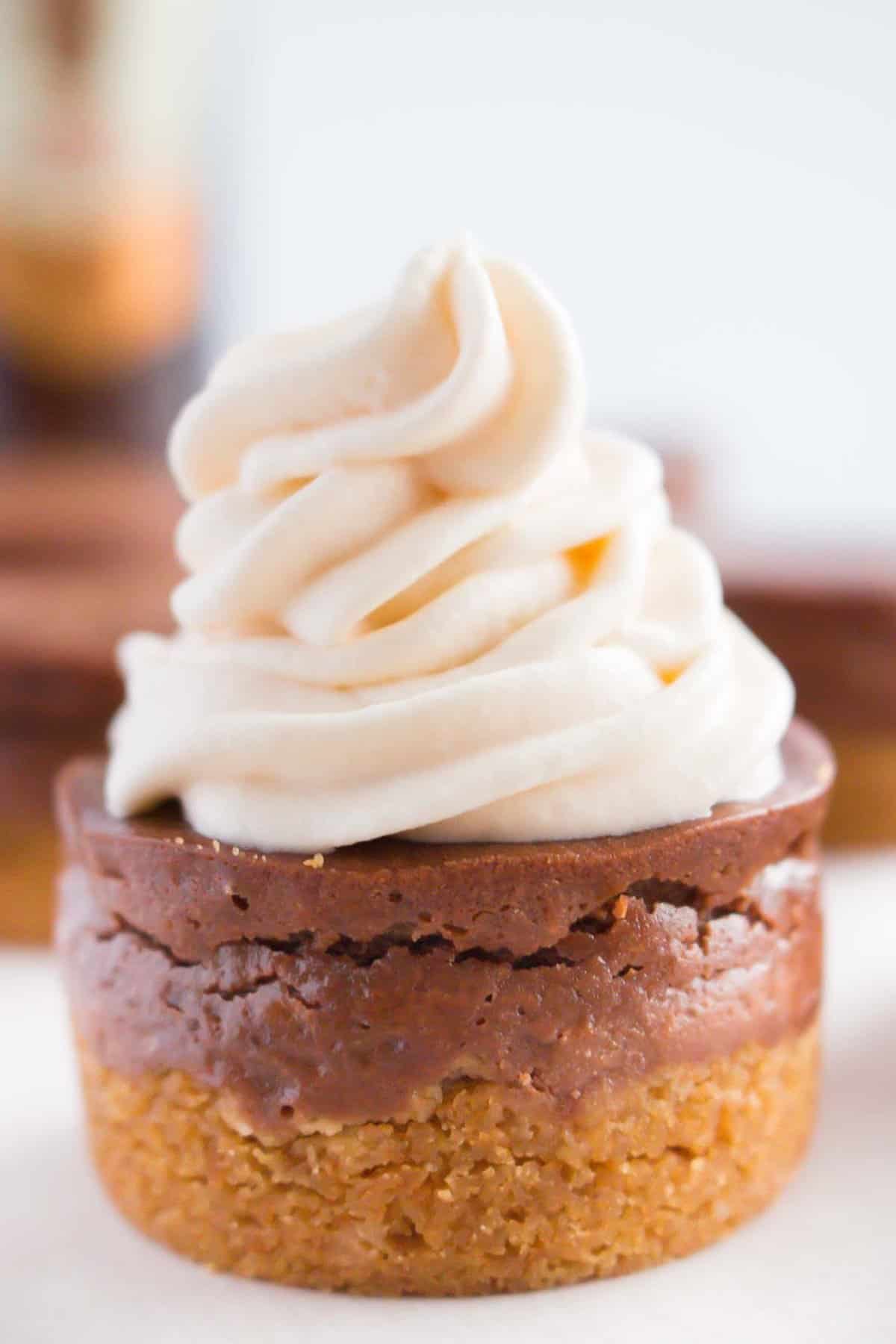 20. Amarillo _ Chocolate Mini Cheesecake Bites _