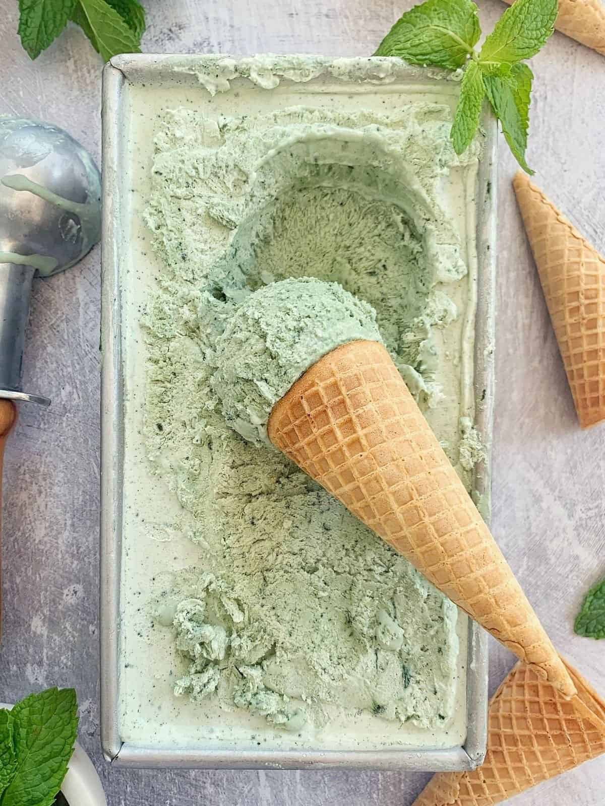 CoconutMintIceCream 1200 x 1600
