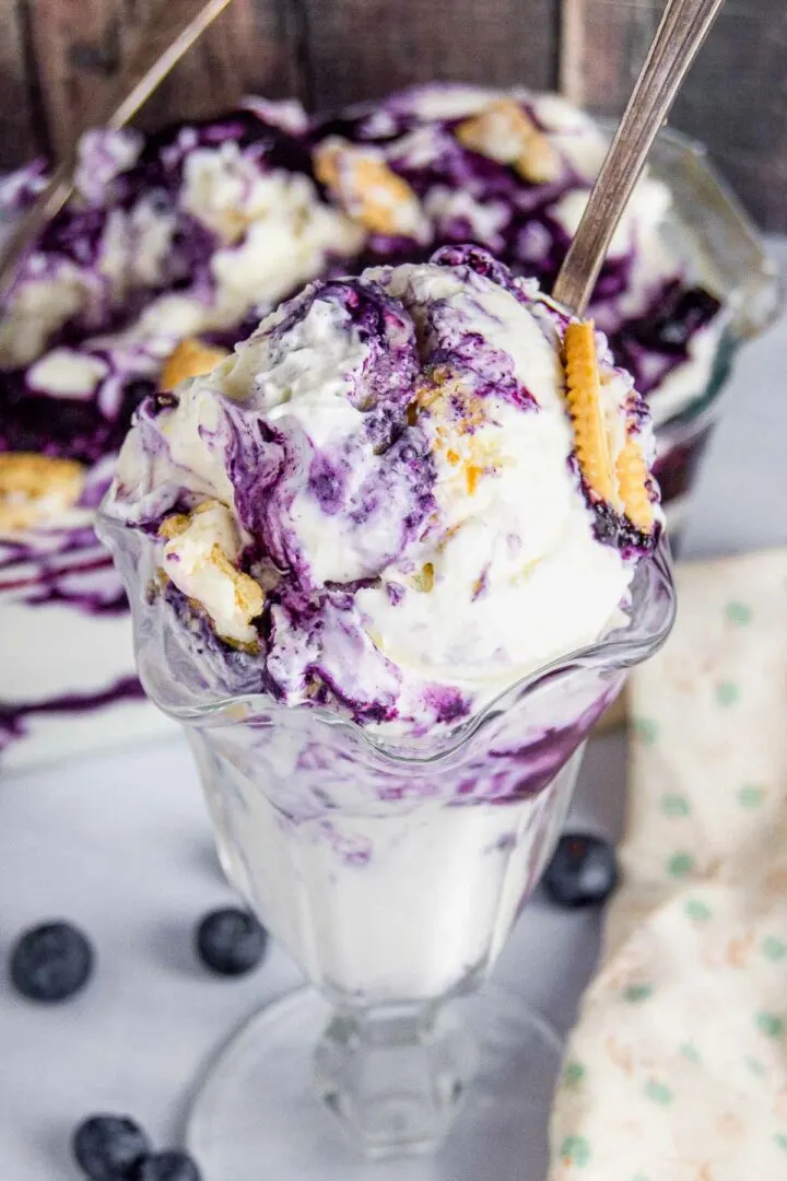 blueberry cheesecake ice cream 15 720×1080.jpg