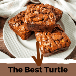 turtle brownies pin (1)